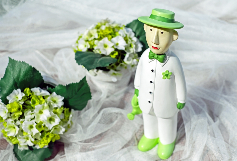 vitrine-LA BOLLENE VESUBIE-min_man-person-flower-green-toy-fig-546529-pxhere.com